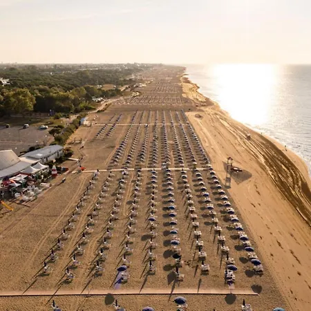 Cozy Flat With Balcony In